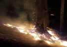 بازگشت آتش به مناطق جنگلی گیلان