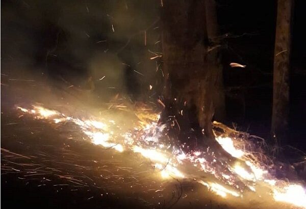 بازگشت آتش به مناطق جنگلی گیلان