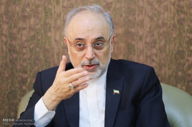 بی‌اعتمادی ما به آمریکا براساس واقعیت‌هاست