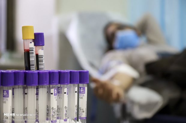 ذخایر خونی استان بوشهر مطلوب است/ نیاز به گروه‌های خونی A و
AB-