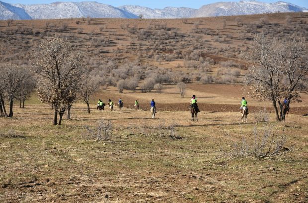 مسابقات سوارکاری استقامت در خرم‌آباد برگزار شد