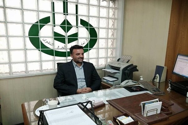 پرداخت مطالبات گوجه فرنگی به کشاورزان استان همدان