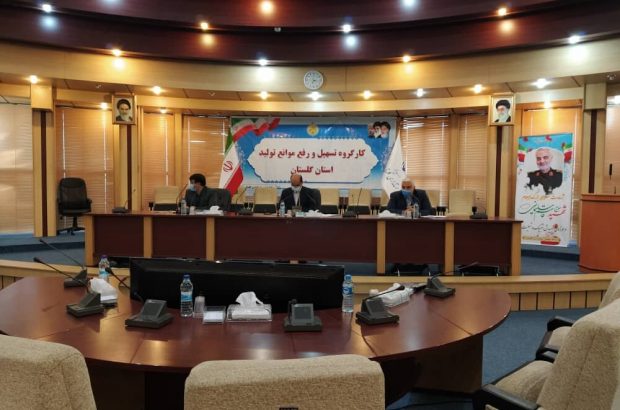 ۷۶۵ میلیارد تومان تسهیلات رونق تولید در گلستان پرداخت
شد