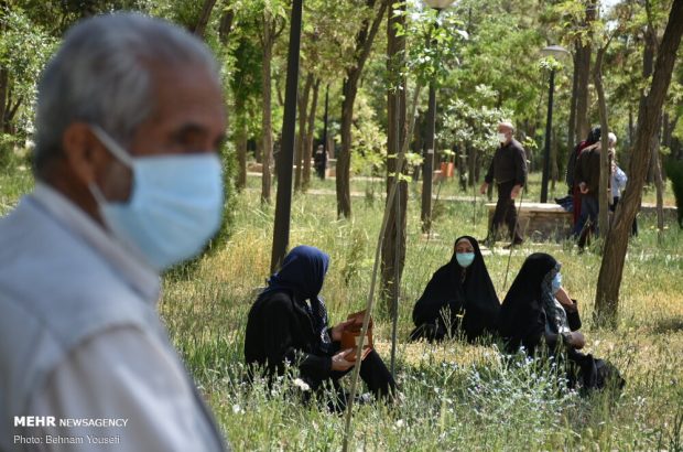 ۱۰ درصد سالمندان ایرانی وارد فضای مجازی می شوند