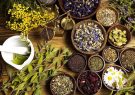 ۵۰ نوع جدید گیاهان دارویی حمایت شد