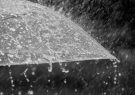 ثبت ۳۴۶ میلیمتر بارش در آبمورد لوداب/ بارندگی ها رکورد
زد