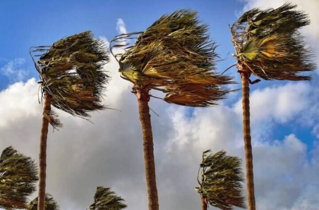 تداوم وزش بادهای شمالی روی خلیج فارس/ ساحل بوشهر متلاطم
است