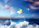 سواحل استان بوشهر مواج و متلاطم است/ کاهش دمای هوا
