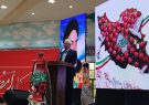 استاندار خراسان شمالی: فرمان امام درباره بسیج افق انقلاب را
تضمین کرد