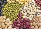 قیمت انواع حبوبات غیرشرکتی اعلام شد