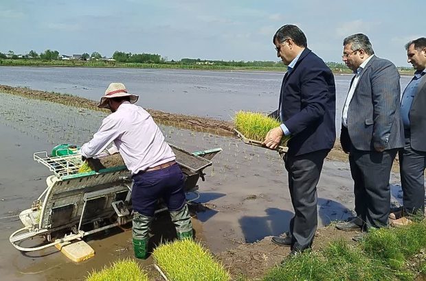نخستین کشت نشاء مکانیزه برنج در دهسر بندر کیاشهر انجام
شد