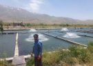 اخطار به متخلفان ساخت‌وساز غیرمجاز در مسیر آب مزارع پرورش
ماهی ازنا