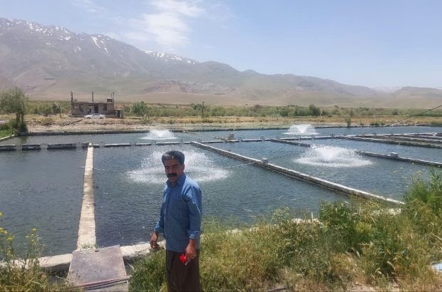 اخطار به متخلفان ساخت‌وساز غیرمجاز در مسیر آب مزارع پرورش
ماهی ازنا