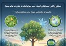 اینفوگرافیک؛محلول‌پاشی اسیدهای آمینه سپر بیولوژیک درختان در
برابر سرما