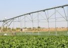 توسعه سامانه‌های نوین آبیاری در سطح ۴۲۰ هکتار از اراضی
کشاورزی زنجان