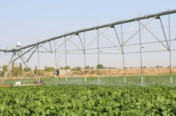توسعه سامانه‌های نوین آبیاری در سطح ۴۲۰ هکتار از اراضی
کشاورزی زنجان