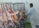 جنگ فعالیت دامپزشکی اصفهان را تعطیل نکرد؛کشف ۵۴تن محصول
غیربهداشتی
