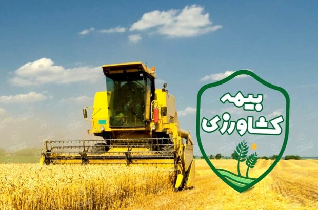 خدمات بیمه کشاورزی هوشمندسازی میشود خدمات بیمه کشاورزی هوشمندسازی میشود