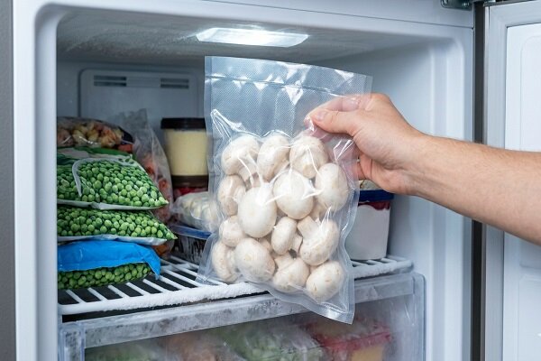 روش نگهداری قارچ در فریزر بدون سیاه شدن