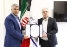 سرپرست انجمن ام ام ای منصوب شد
