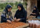 طرح گردشگری کشاورزی-روستایی در آذربایجان غربی اجرایی می
شود