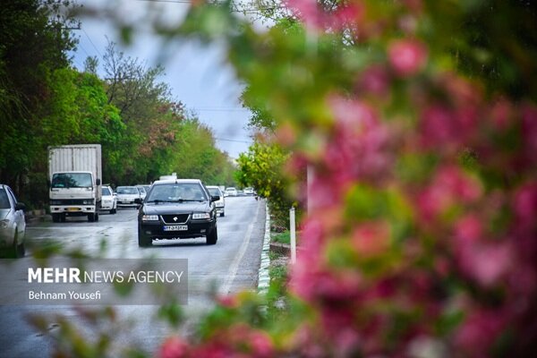 هواشناسی ایران ۲۵ اردیبهشت؛ بارش باران در برخی
استانها