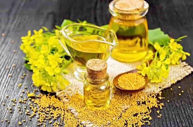 ثبت سفارش واردات روغن خام از ۱۰ تیر آغاز می‌شود