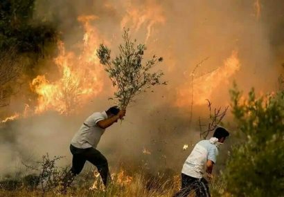 لرستان در آستانه فصل آتش؛ وقتی سبزی جنگلها به تهدید تبدیل
میشود