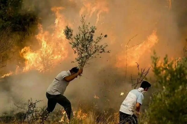 لرستان در آستانه فصل آتش؛ وقتی سبزی جنگلها به تهدید تبدیل
میشود لرستان در آستانه فصل آتش؛ وقتی سبزی جنگلها به تهدید تبدیل
میشود
