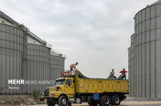 مازندران قطب راهبردی ذخیره‌سازی کالاهای اساسی می‌شود؛ احداث
۲ سیلو