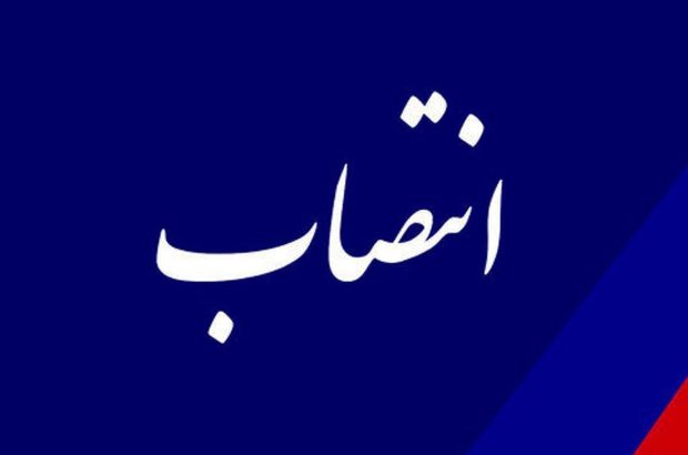 مهرزاد حمیدی سرپرست دانشگاه فرهنگیان کشور شد