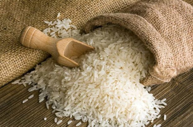 پیش‌بینی آینده تولید غلات در بازار جهانی