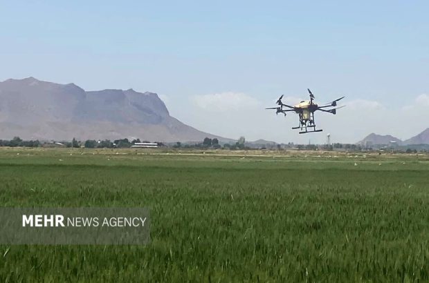 کشاورزی چهارمحال وبختیاری در مسیر افزایش بهره‌وری