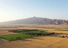 اینفوگرافیک؛ احیای اراضی ملی در سیستان و بلوچستان
