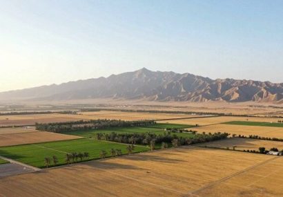اینفوگرافیک؛ احیای اراضی ملی در سیستان و بلوچستان