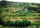 جنگلهای کوهمره سرخی شیراز ظرفیت ملی فارس برای توسعه گردشگری
طبیعی