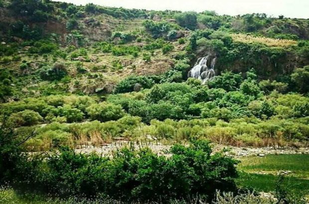جنگلهای کوهمره سرخی شیراز ظرفیت ملی فارس برای توسعه گردشگری
طبیعی جنگلهای کوهمره سرخی شیراز ظرفیت ملی فارس برای توسعه گردشگری
طبیعی